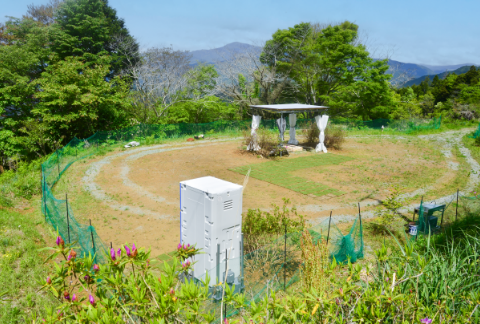 キャンプ場全体
